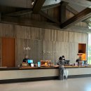 골드독 | 홍천] 애견동반 소노펫 비발디파크 골드 Pet Club 파크뷰(취사 가능) 2박 후기_띵킹독, 플레이그라운드🐶