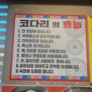금강코다리