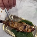 순돌이 회수산 이미지