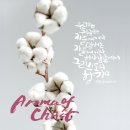 향기2로 이미지