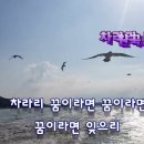 차라리꿈이라면(유기/원곡 한정호) 이미지