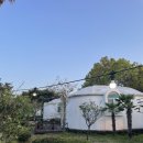 수팬션 | [제주도 감성 숙소] 돔그라미 팬션/ 내돈내산 후기