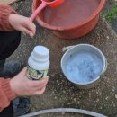 제일농자재 | 식물영양제 친환경비료 이연테크 싱싱파라 파라핀유 친환경비료