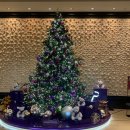 세븐호텔 | [더 플라자 세븐스퀘어] 연말 서울 호텔뷔페, 평일 런치 후기, 크리스마스 데이트 추천