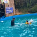 창암농장 2농장 | 김해 숙박 수영장 무척산관광예술원1박2일 여행