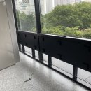 이신일그레이스성형외과의원 이미지