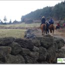 우리승마장 이미지