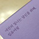 올리브오일과 블루베리의 조합이 궁금했던 이유, 킵유어핏 올블샷