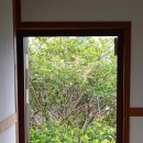 주식회사 리네아 이미지