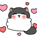 카즈온주 이미지