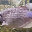 부산해양자연사박물관 이미지