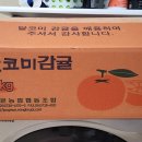 영광농협 하나로마트 이미지