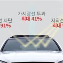 광주오토썬팅 이미지
