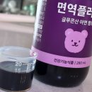 돌아기 아연 영양제 추천 | 장인정신 에브리데이 면역플러스 꾸준히 먹여본 후기