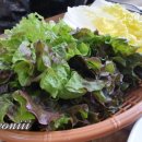 돈통마늘보쌈철원동송점 네이버블로그