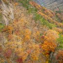 설악산의 가을 단풍 이미지
