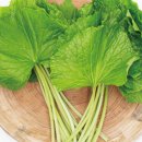 한울농장 2 이미지