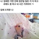 두접시 이미지