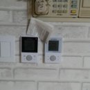 삼성장미 이미지