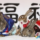 불곡고교 이미지