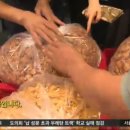 소라농장 이미지