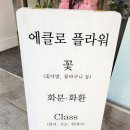 에클로플라워
