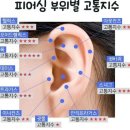 난다샵 이미지