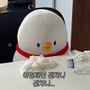 쿠마