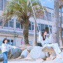 New행복한여행
