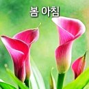 구름에달가듯이 이미지
