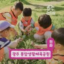 안성면 생활체육공원 | 광주 풍암생활체육공원 숲체험 프로그램 솔직 후기! 어린이 봄 체험학습 추천