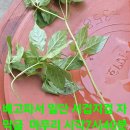 풍기농업협동조합 이미지