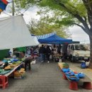 담양을 담다 이미지