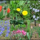 행복나들이 불은마을 이미지