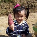 일죽농장 이미지