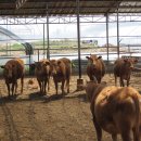 음성농장 이미지