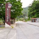 황장산등산로 입구 | 황장산...안생달-맷등바위-정상-계곡등산로-안생달 &amp; 따로 촛대바위 구경_2024.06.15(토)