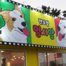 멍시앙 이미지
