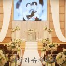 바닐라슈가 이미지