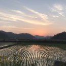 마당한동 이미지