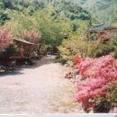 석림원 이미지
