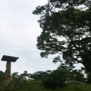 안국사지 이미지