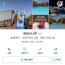 세모난나무 이미지