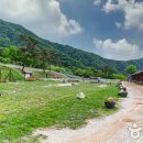 초원염소농장 이미지