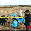 공범농장 이미지