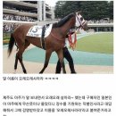 탁구3반 | [4월 넷째주 교생일기] 날아와