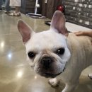 힐링동전노래연습장 이미지