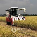 상궁원리 이미지