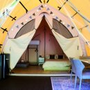 엘리시안강촌수영장 이미지