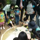 마포구 창천초교 서울매일